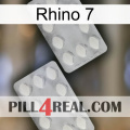 Rhino 7 17